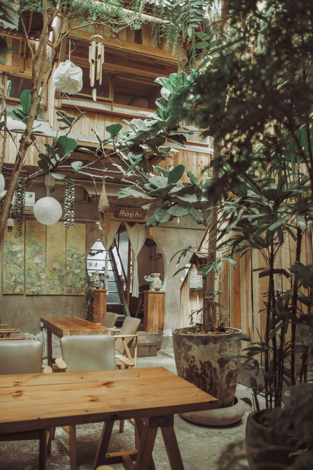 Person working at a desk with wooden interior surrounded by plants